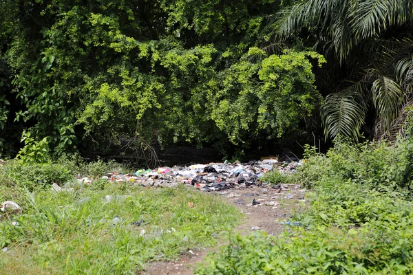 Landfill between trees and palms — Stock Photo, Image