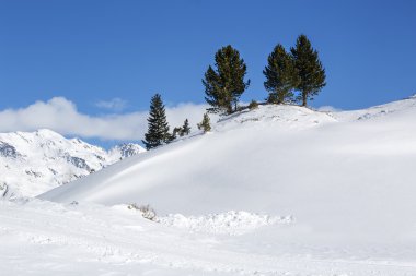 Avusturya Alpleri'nde karlı dağ manzarası
