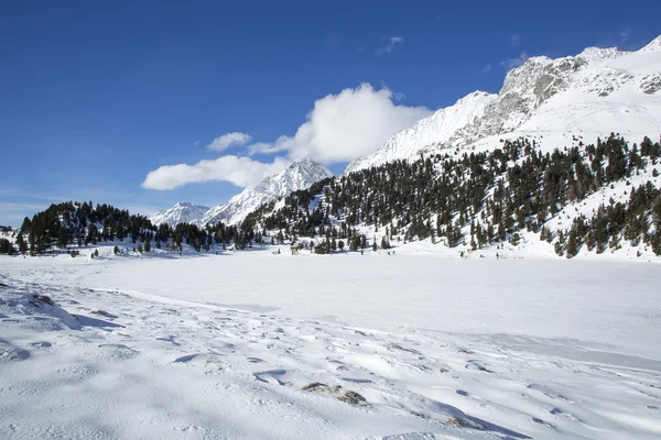 donmuş göl obersee Avusturya Alpleri'nde