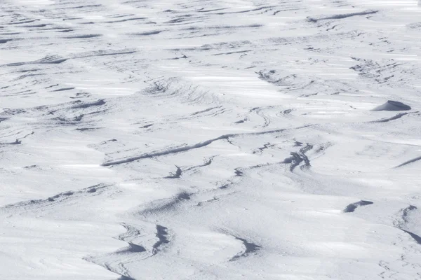 Closeup χιονοστιβάδα — Φωτογραφία Αρχείου