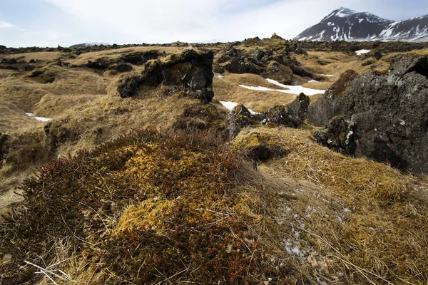Imponerande vulkaniska landskapet på halvön Snaefellsnes — Stockfoto