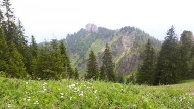 Mountain view ile ağaçlar ve çiçekler ön planda