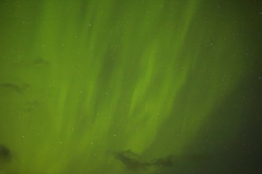 Kuzey ışıkları ile İzlanda parlak yıldızlar