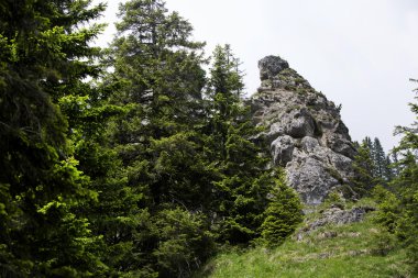 Dağın tepesinde Bavyera Alpleri'nde için görüntüleyin