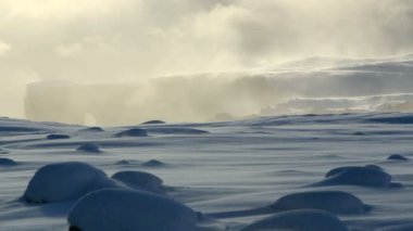 Yarımada Dyrholaey sabah ışık south Iceland'deki / daki