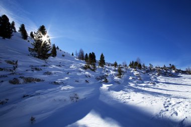 Avusturya Alpleri'nde karlı dağ manzarası