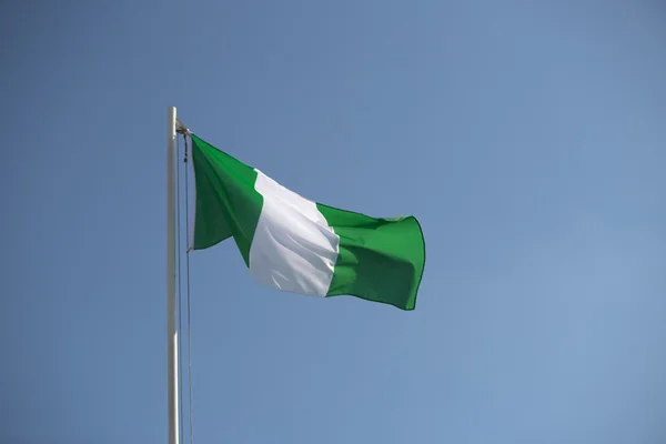 Nigerian flag in the wind — Stock Photo, Image