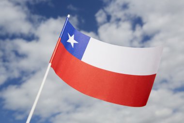 Şili bayrağı