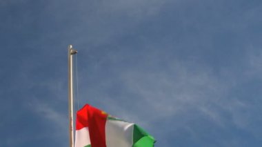 Vinç Macaristan bayrağı