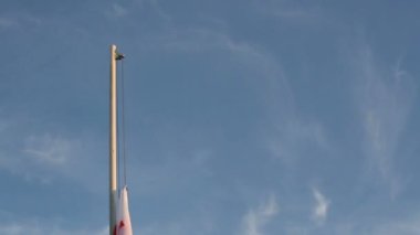 Georgia bayrak dalgalandır