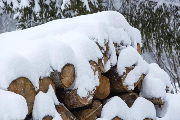 Snötäckta stack av trä — Stockfoto