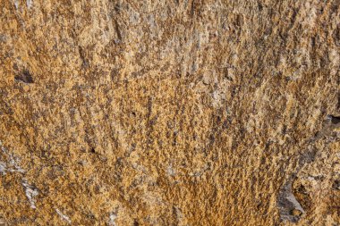 Doğu fjords İzlanda '