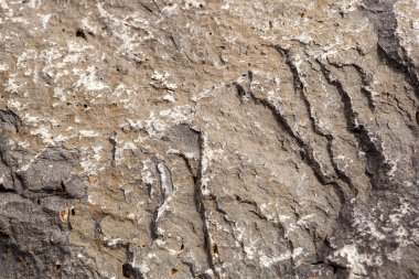 Arka plan olarak taş yapı