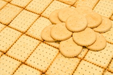 kraker çıtır bisküvi