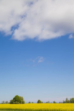 Baharda geniş ve güzel tarlaların fotoğrafı.