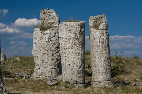 Bulgaria 'daki taş sütunlar, taş ormanları