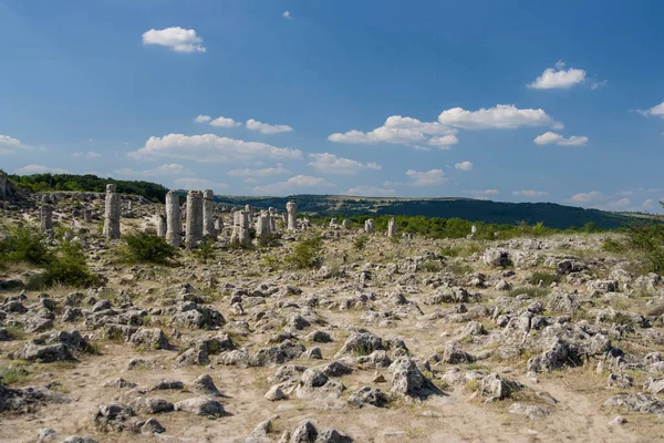 ancient stone pillars in bulgaria, stone forest