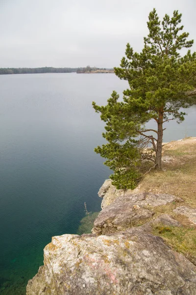 Frammento Una Riva Rocciosa Lago Selvaggio — Foto Stock