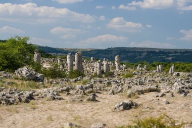 Bulgaria 'daki taş sütunlar, taş ormanları