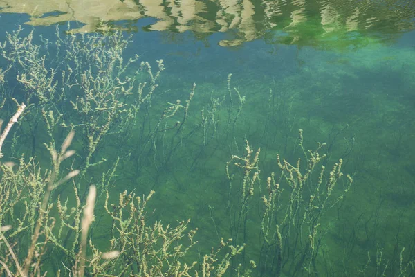 Fijn Water Rimpelt Het Oppervlak Van Het Meer — Stockfoto