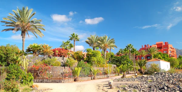 Landschaft mit Gebäuden und Palma, Kanarische Inseln — Stockfoto