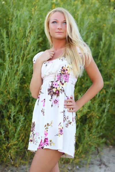 Sexig ung kvinna i klänning i gräset — Stockfoto