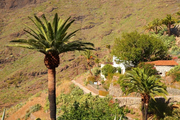 Masca vesnice na ostrově Tenerife — Stock fotografie