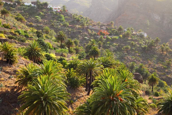 Masca village on the island of Tenerife — Stock Photo, Image