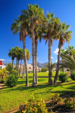 seyahat, tatil Kanarya Adaları