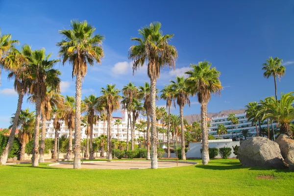 Travel, vacation in the Canary Islands — Stock Photo, Image