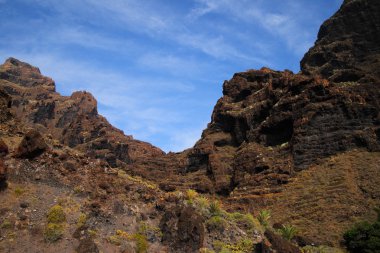 Kanyon Masca Tenerife 