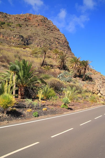 Canary Islands. Spain — Stock Photo, Image
