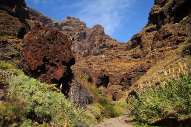 Kanyon Masca Tenerife 
