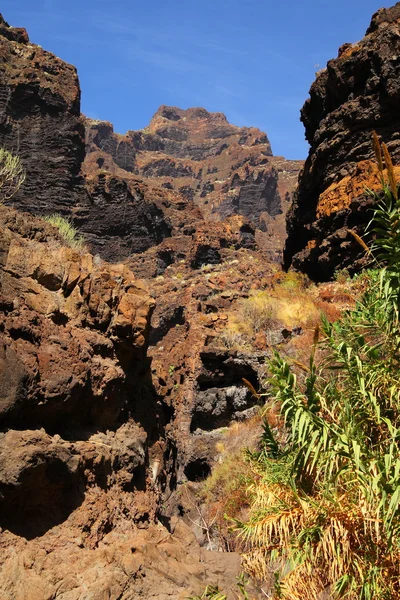 Cañón Masca en Tenerife — Foto de Stock