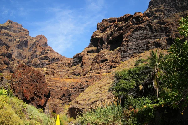 Ravinen Masca på Teneriffa — Stockfoto