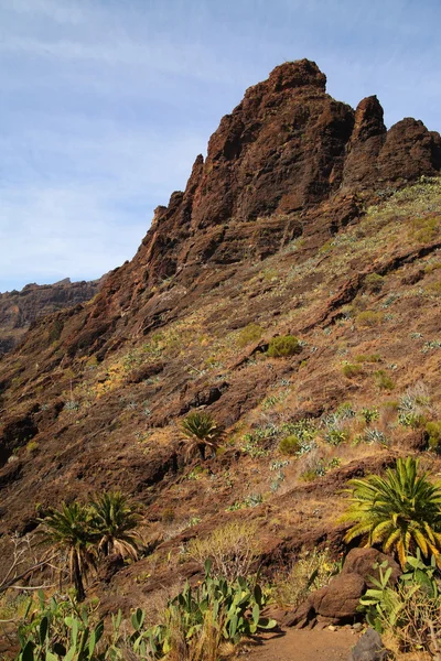 峡 maska の山の風景 — ストック写真