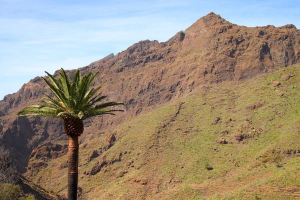 Berglandschappen van kloven maska — Stockfoto