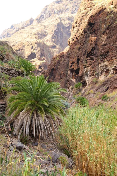 Mountain landscapes of gorges maska — Stock Photo, Image