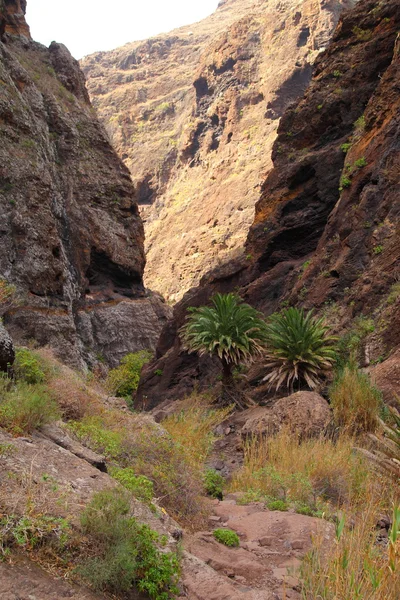 Paisajes de montaña de gargantas maska — Foto de Stock