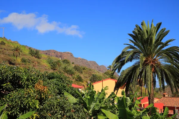 Islas Canarias — Foto de Stock