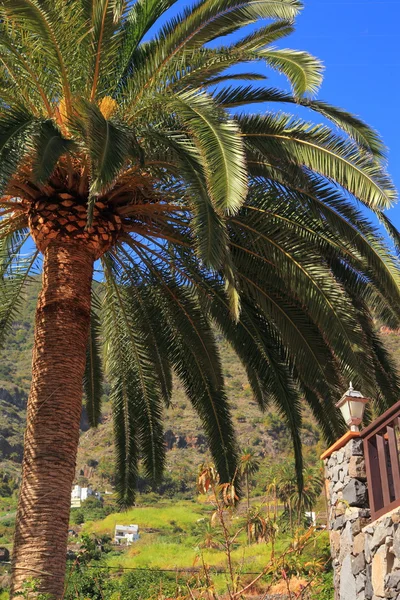 Islas Canarias — Foto de Stock