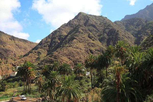 Islas Canarias —  Fotos de Stock