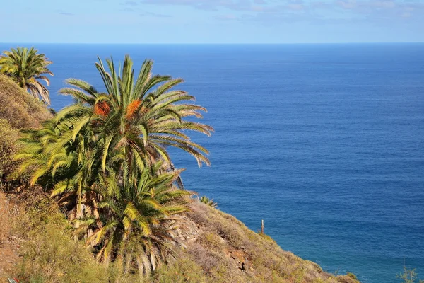 Islas Canarias —  Fotos de Stock