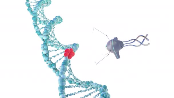 医用纳米机器人修复DNA受损部分。3D渲染. — 图库视频影像
