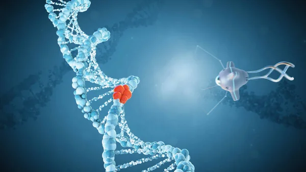 Medizinische Nanobots reparieren einen beschädigten DNA-Abschnitt. 3D-Renderer. — Stockfoto