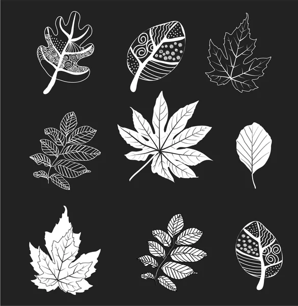 Vector leafs set — Stock Vector