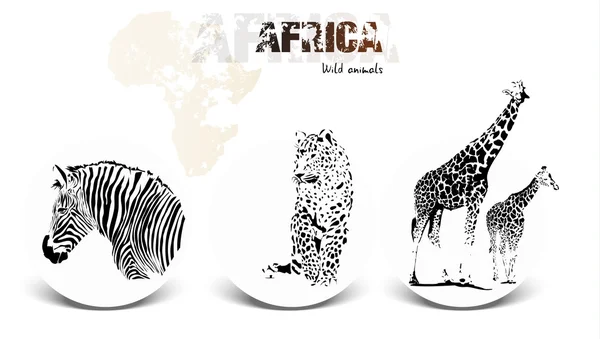 African animals — Stock Vector