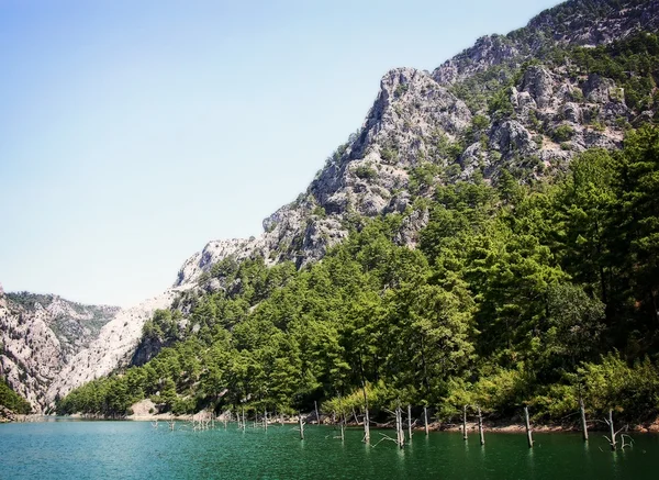 Dağ manzarası