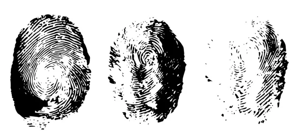 Imprints — Stockový vektor