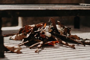 Bir Gri için Şimşek Odunu ve Karkömür.